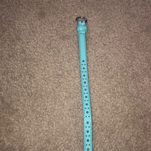 Light blue belt
